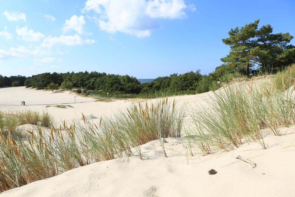 Havet Hotel Resort & Spa 드지비르지노 외부 사진